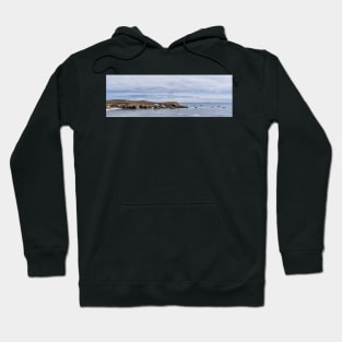 Pelican Race Hoodie